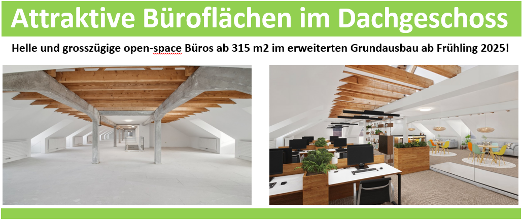 Thalhof Website Einschub